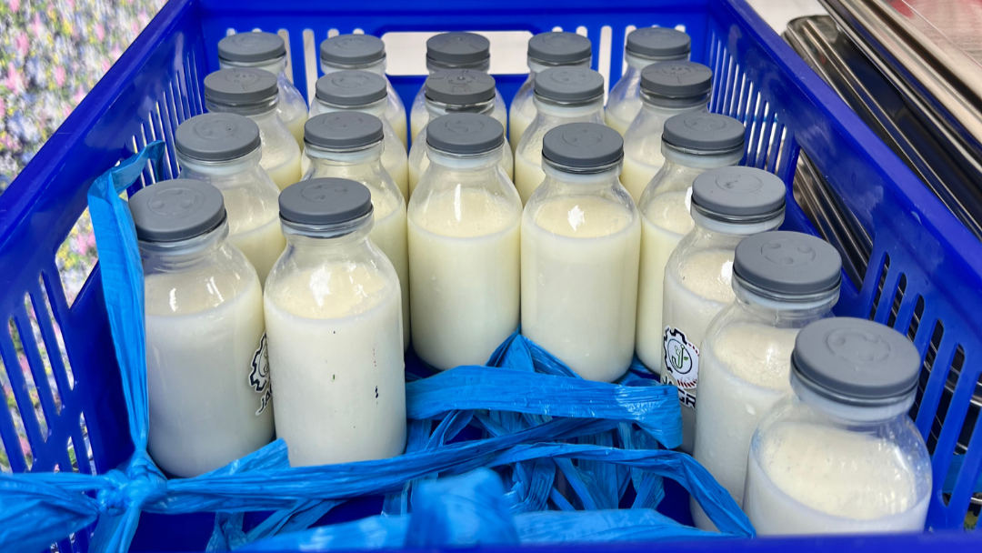Penjelasan BGN Bengkulu Tengah Soal Manfaat Susu Sebagai Pelengkap Gizi Anak